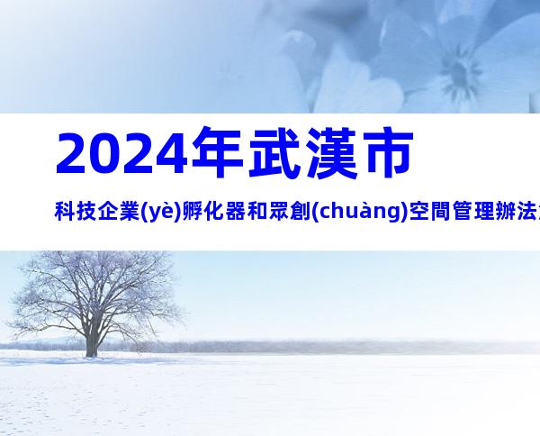 2024年武漢市科技企業(yè)孵化器和眾創(chuàng)空間管理辦法解析，申報條件、流程